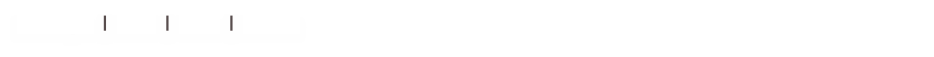 Leistungen | Profil | News | Kontakt